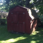 Shed in new spot in the back yard